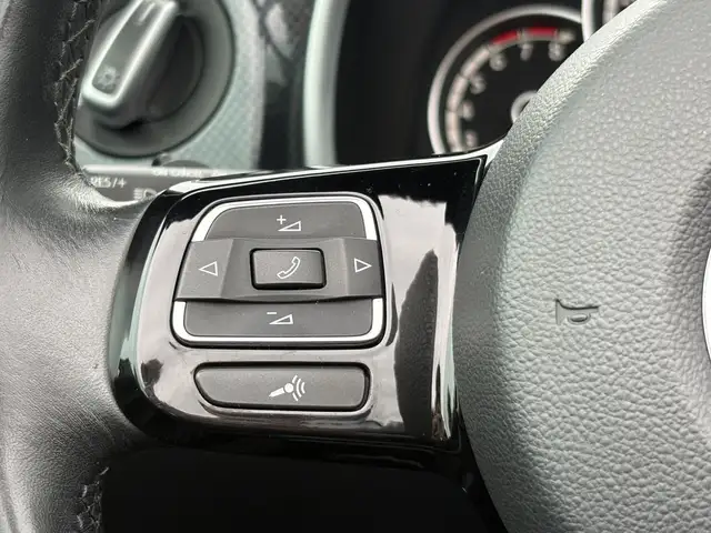 Volkswagen Beetle view 17