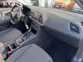 SEAT Leon 1.6 TDI Business 115CV DSG*EURO6*CERCHI - thumbnail 11