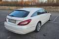 Mercedes-Benz CLS 220 Shooting Brake 220 d 9G-TRONIC  360°KAM/LED Weiß - thumbnail 4