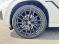 BMW X6 xDrive 30d+M-SportPaket+Laser+360 Blanco - thumbnail 23