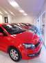 Volkswagen Polo 1.2 Advance 60 Rosso - thumbnail 4