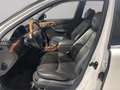 Mercedes-Benz S 500 S500 lang LORINSER Blanco - thumbnail 7