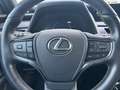 Lexus UX 250h Style Edition *Bi-LED*ACC*CAM*SHZ*CarPlay* Blanc - thumbnail 14