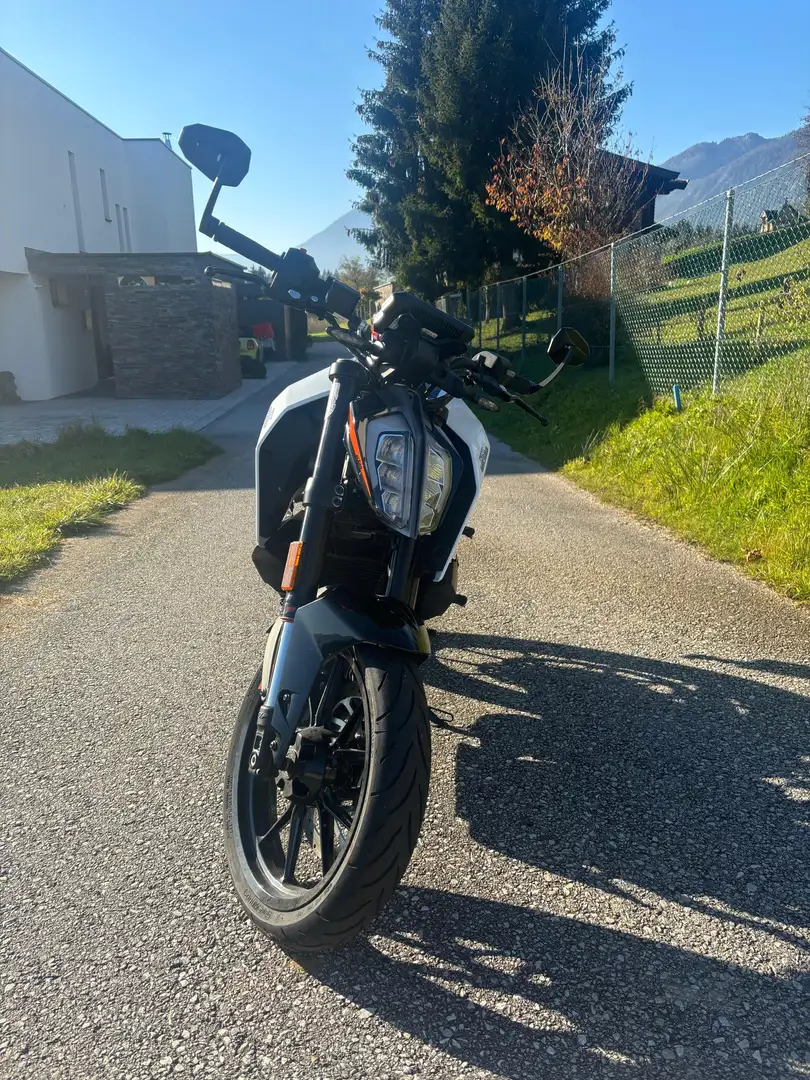 KTM 390 Duke Alb - 2