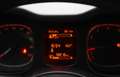Fiat Panda 1.0 Firefly 70CV Hybrid Grigio - thumbnail 11