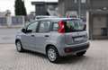 Fiat Panda 1.0 Firefly 70CV Hybrid Grigio - thumbnail 5