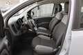 Fiat Panda 1.0 Firefly 70CV Hybrid Grigio - thumbnail 7