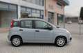 Fiat Panda 1.0 Firefly 70CV Hybrid Grigio - thumbnail 3