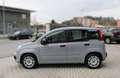 Fiat Panda 1.0 Firefly 70CV Hybrid Grigio - thumbnail 4