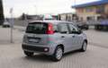 Fiat Panda 1.0 Firefly 70CV Hybrid Grigio - thumbnail 6