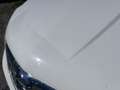 Opel Mokka 1.6 Cdti Allrad Export Weiß - thumbnail 14