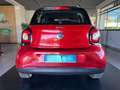 smart forFour 90 0.9 Turbo twinamic Passion FURTO INCLUSO Rosso - thumbnail 7