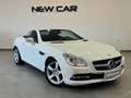Mercedes-Benz SLK SLK 200 (cgi be) Premium Weiß - thumbnail 1