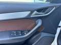 Audi Q3 Q3  2.0 tdi Advanced Plus 140cv Bianco - thumbnail 13