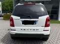 SsangYong Rexton Alb - thumbnail 1
