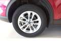 Ford Kuga 2.0 ECOBLUE MHEV 110KW TITANIUM 150 5P Rojo - thumbnail 32