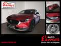 Mazda CX-30 X186 HOMURA BIG DEAL & AHK Rot - thumbnail 1