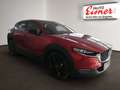 Mazda CX-30 X186 HOMURA BIG DEAL & AHK Rot - thumbnail 14