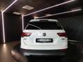 Volkswagen Tiguan Tiguan Allspace 2.0 tdi Business 4motion 150cv dsg Bianco - thumbnail 4