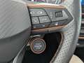 CUPRA Formentor Formentor 2.0 TSI VZ Tribe Edition LED+NAVI+PANO Gris - thumbnail 26