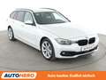 BMW 320 320i xDrive Sport Line Shadow Aut.*NAV*LED*ACC*CAM Weiß - thumbnail 8