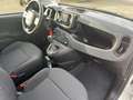 Fiat Panda Base / Radio, Bluetooth, Klima, elektr. FH vorn, Z Blanc - thumbnail 9