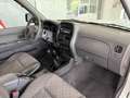 Nissan Pick Up Double Cab 2.5 td 133cv Bianco - thumbnail 15