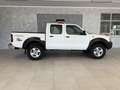 Nissan Pick Up Double Cab 2.5 td 133cv Bianco - thumbnail 2
