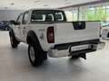 Nissan Pick Up Double Cab 2.5 td 133cv Bianco - thumbnail 4
