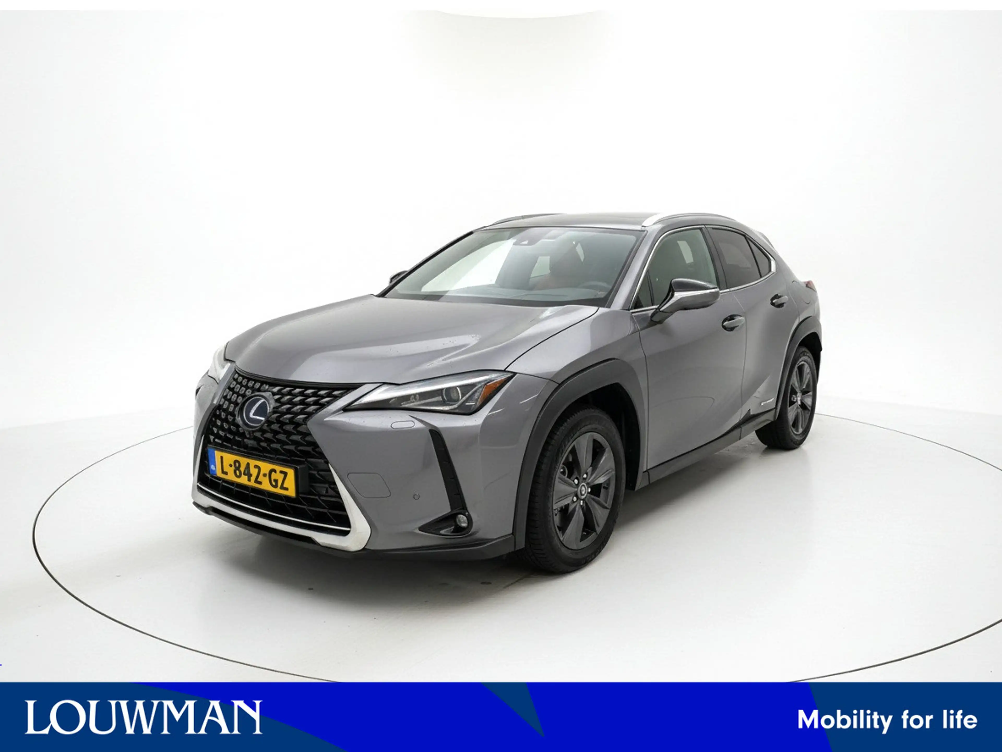 Lexus UX 250h Business Line | NL auto | Dealeronderhouden | Carp