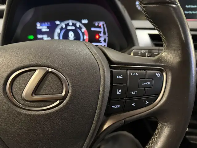 Lexus Ux view 12