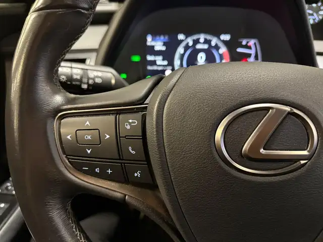 Lexus Ux view 11