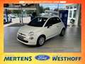 Fiat 500 Cult Klima Ganzjahresreifen DAB Weiß - thumbnail 1