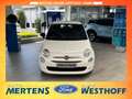 Fiat 500 Cult Klima Ganzjahresreifen DAB Weiß - thumbnail 2