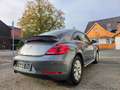 Volkswagen Beetle Lim. Basis BMT !! Top Zustand  - Garantie Grau - thumbnail 8