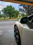 Lamborghini Gallardo Gallardo Coupe 5.2 LP 560-4 e-gear Bianco - thumbnail 11