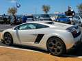 Lamborghini Gallardo Gallardo Coupe 5.2 LP 560-4 e-gear Bianco - thumbnail 8