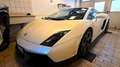 Lamborghini Gallardo Gallardo Coupe 5.2 LP 560-4 e-gear Bianco - thumbnail 1