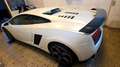 Lamborghini Gallardo Gallardo Coupe 5.2 LP 560-4 e-gear Bianco - thumbnail 5
