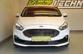 Ford S-Max 2,0 EcoBl. Aut ''Titanium'' NAVI*ACC*LED*R-KAM Weiß - thumbnail 9