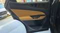 Lexus NX 300h 450h+ Executive 4WD Verde - thumbnail 37