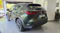 Lexus NX 300h 450h+ Executive 4WD Verde - thumbnail 4