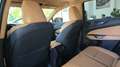 Lexus NX 300h 450h+ Executive 4WD Verde - thumbnail 36