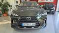 Lexus NX 300h 450h+ Executive 4WD Verde - thumbnail 17