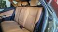 Lexus NX 300h 450h+ Executive 4WD Verde - thumbnail 35