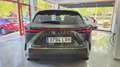 Lexus NX 300h 450h+ Executive 4WD Verde - thumbnail 18