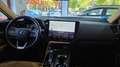 Lexus NX 300h 450h+ Executive 4WD Verde - thumbnail 10