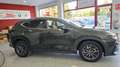 Lexus NX 300h 450h+ Executive 4WD Verde - thumbnail 19