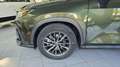 Lexus NX 300h 450h+ Executive 4WD Verde - thumbnail 24