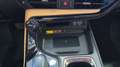 Lexus NX 300h 450h+ Executive 4WD Verde - thumbnail 50